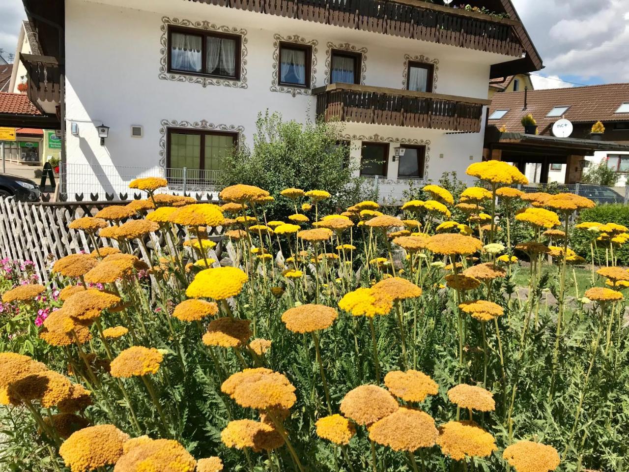 Hotel-Pension Zum Bierhaus Roetenbach  Экстерьер фото